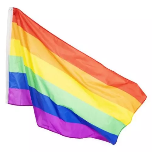 Regenboog vlag - polyester - 90x150 cm