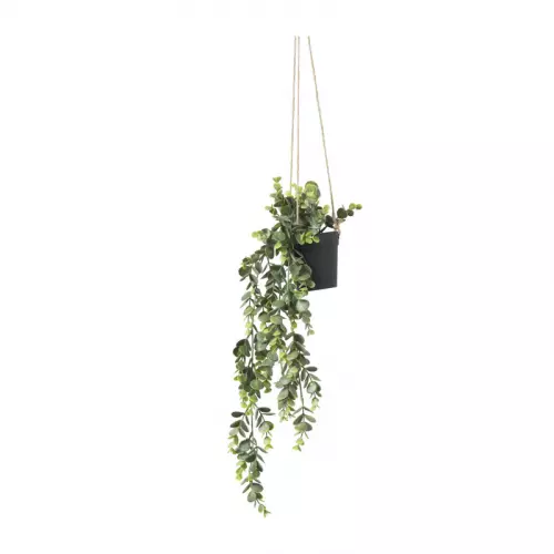 Hangplant - 65 cm