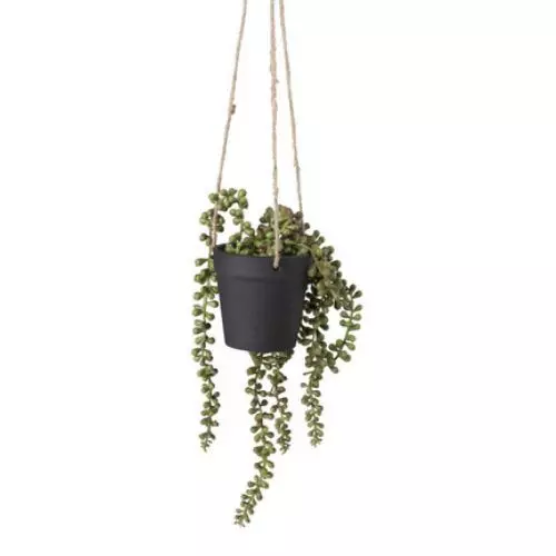 Hangplantje in pot - zwart - 9x9x70 cm