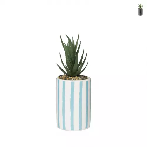 Plant in pot streep hoog - ø7.5x21 cm