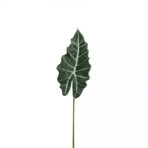 Alocasia blad - 86 cm