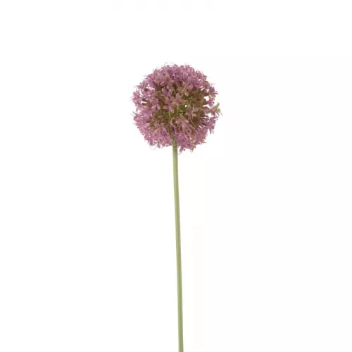 Kunstbloem allium - paars - 64 cm