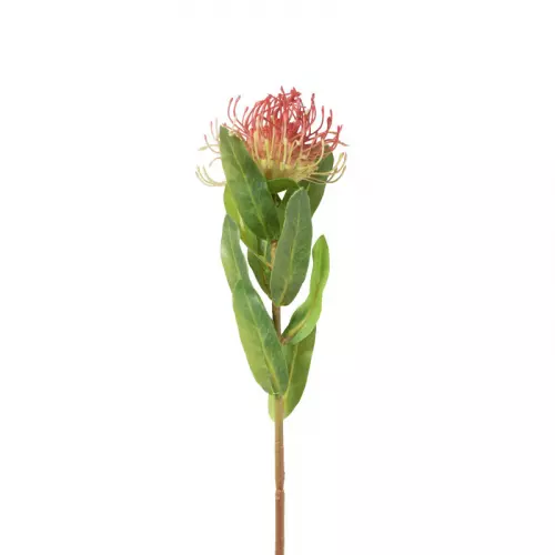 Kunstbloem leucospermum - rood - 48 cm