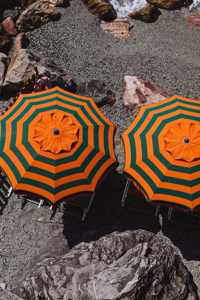 Opened parasols and sunbeds on sandy shore