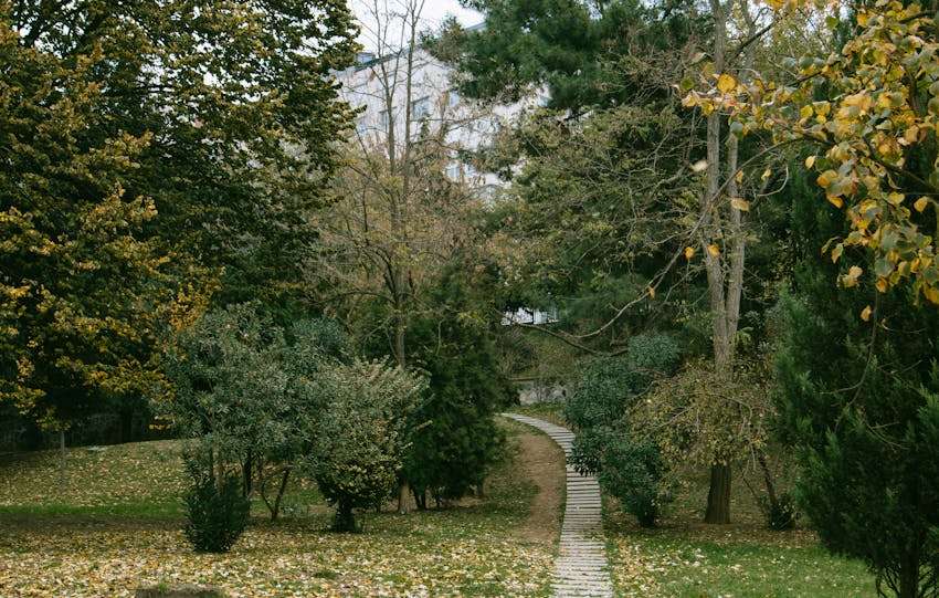 mooi tuinpad dat is aangelegd tussen bomen