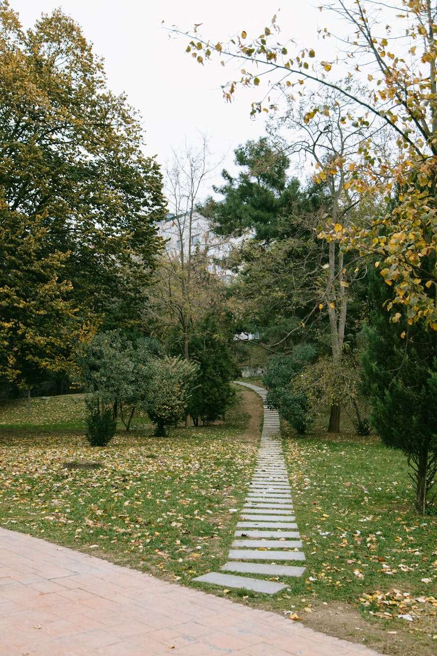 mooi tuinpad dat is aangelegd tussen bomen