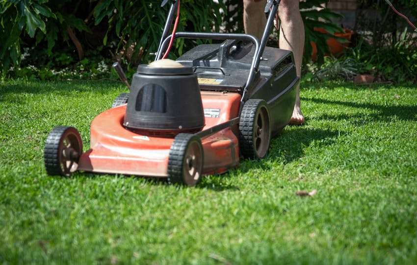 rode grasmaaier op het gras