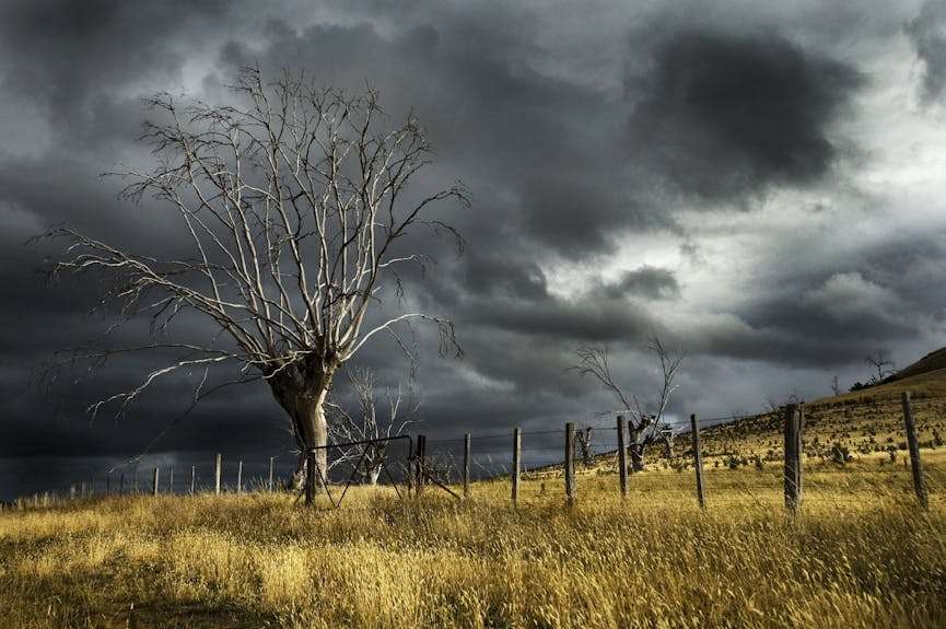 grasveld waar een storm opkomst is